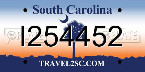 I254452 South Carolina License Plate