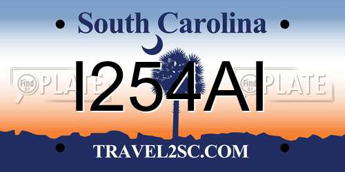 I254AI South Carolina License Plate