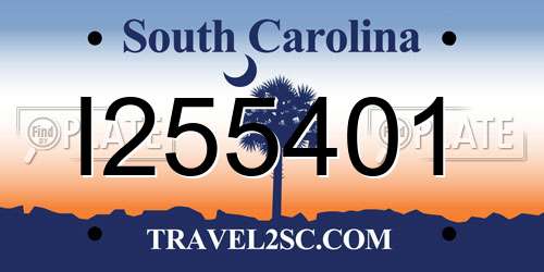 I255401 South Carolina License Plate
