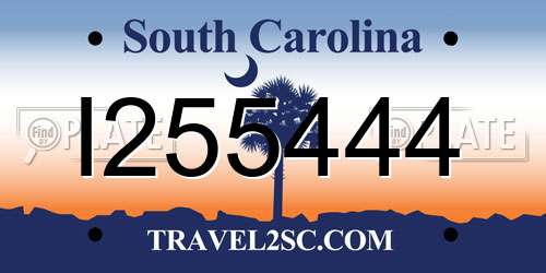 I255444 South Carolina License Plate