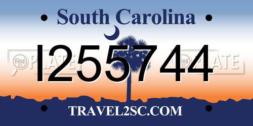 I255744 South Carolina License Plate