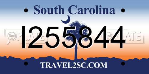 I255844 South Carolina License Plate