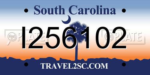 I256102 South Carolina License Plate