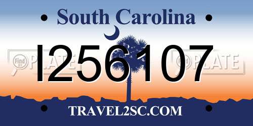 I256107 South Carolina License Plate