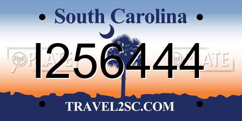 I256444 South Carolina License Plate