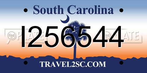I256544 South Carolina License Plate
