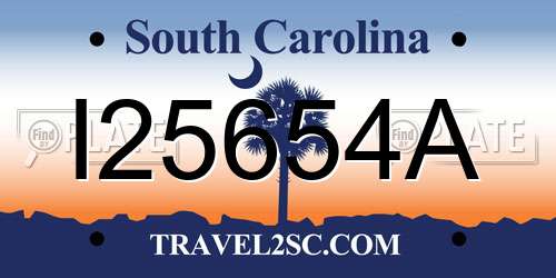 I25654A South Carolina License Plate