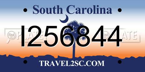 I256844 South Carolina License Plate