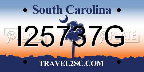 I25737G South Carolina License Plate