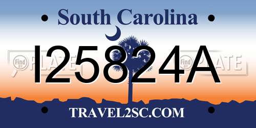 I25824A South Carolina License Plate