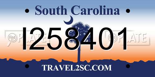 I258401 South Carolina License Plate