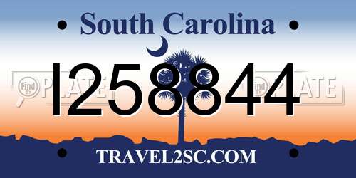 I258844 South Carolina License Plate