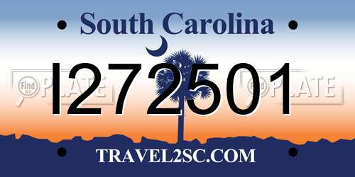 I272501 South Carolina License Plate