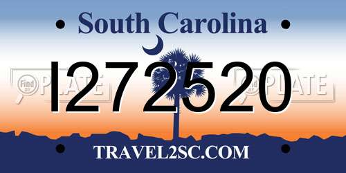I272520 South Carolina License Plate