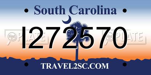 I272570 South Carolina License Plate