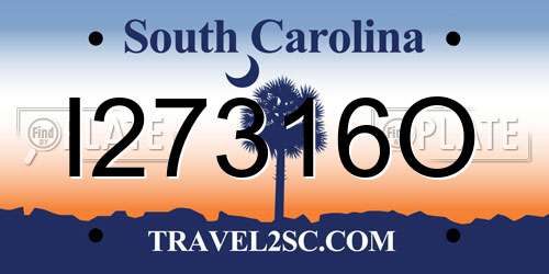 I27316O South Carolina License Plate