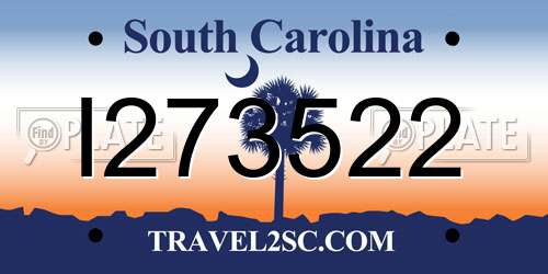 I273522 South Carolina License Plate