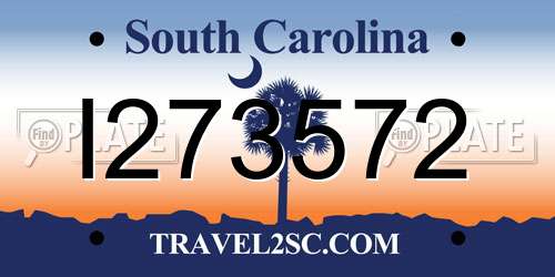 I273572 South Carolina License Plate