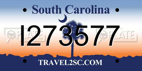 I273577 South Carolina License Plate