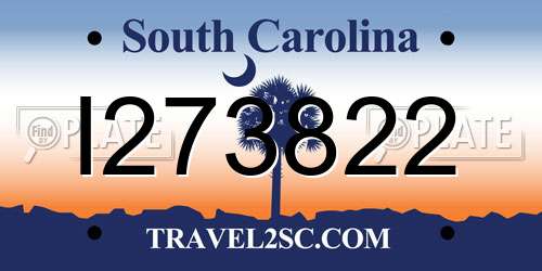 I273822 South Carolina License Plate