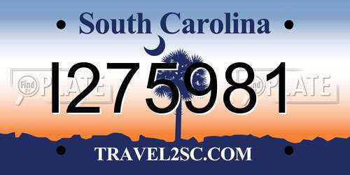 I275981 South Carolina License Plate