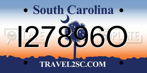 I27896O South Carolina License Plate