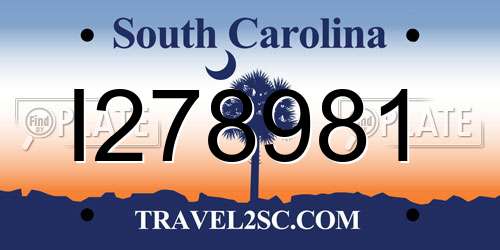 I278981 South Carolina License Plate