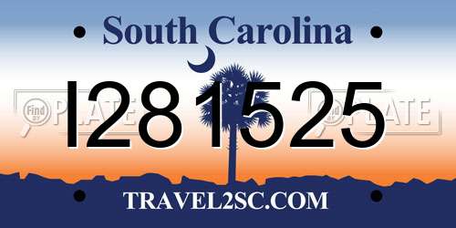 I281525 South Carolina License Plate