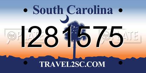 I281575 South Carolina License Plate