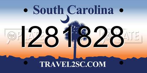 I281828 South Carolina License Plate
