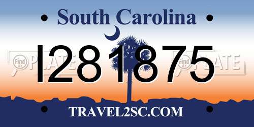 I281875 South Carolina License Plate