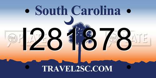 I281878 South Carolina License Plate