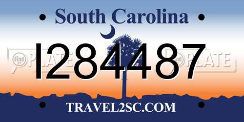 I284487 South Carolina License Plate