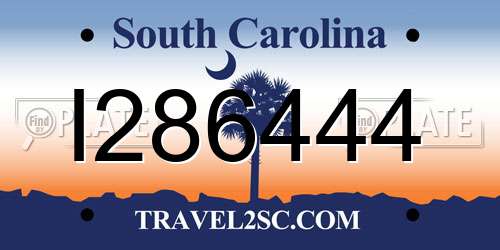 I286444 South Carolina License Plate