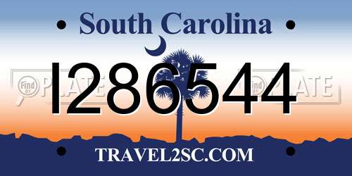 I286544 South Carolina License Plate