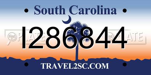 I286844 South Carolina License Plate