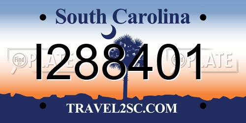 I288401 South Carolina License Plate