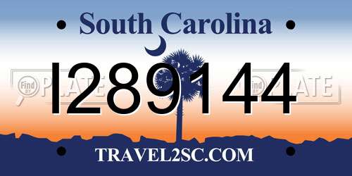 I289144 South Carolina License Plate