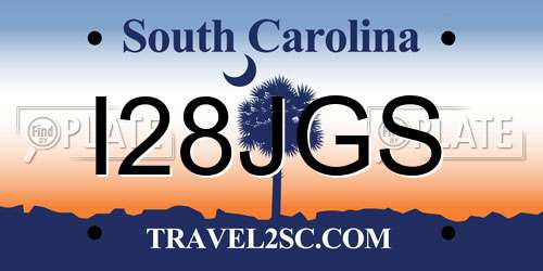 I28JGS South Carolina License Plate