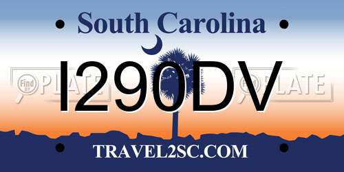 I290DV South Carolina License Plate