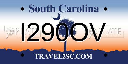 I290OV South Carolina License Plate