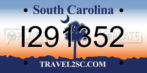 I291352 South Carolina License Plate