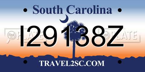 I29138Z South Carolina License Plate