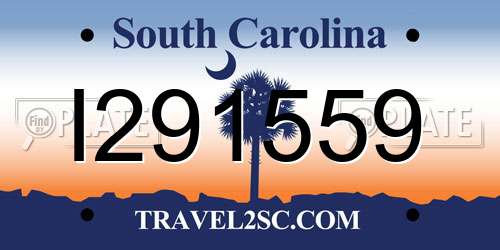 I291559 South Carolina License Plate