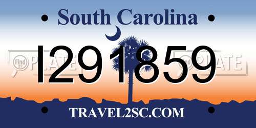I291859 South Carolina License Plate