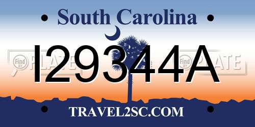 I29344A South Carolina License Plate