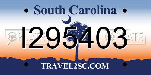 I295403 South Carolina License Plate