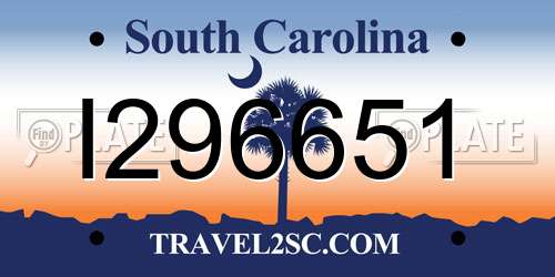 I296651 South Carolina License Plate
