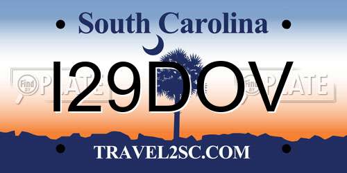 I29DOV South Carolina License Plate