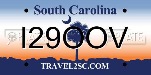 I29OOV South Carolina License Plate